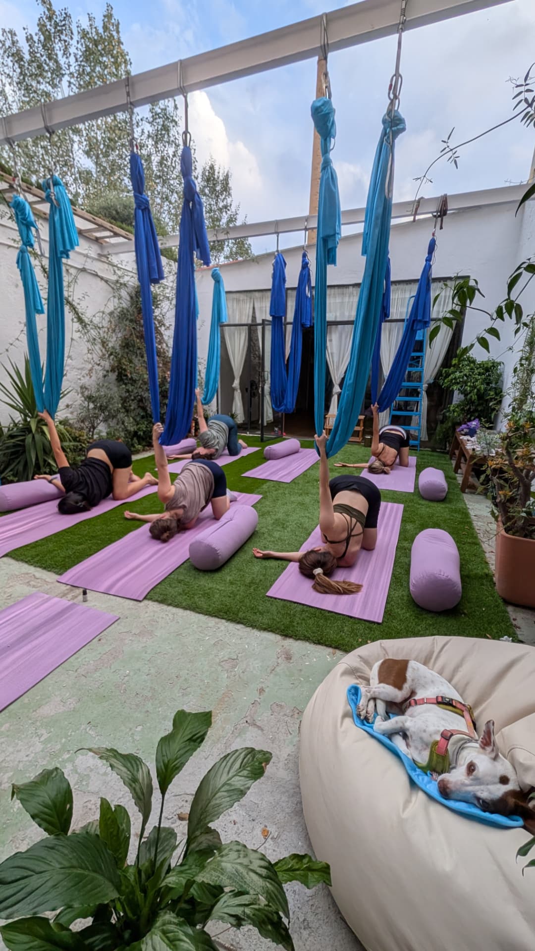 Clase real de aero yoga en el patio de oasis.colibri